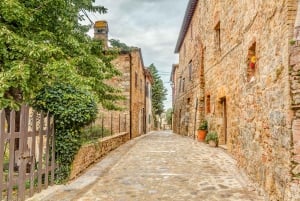 De Florença: passeio de meio dia pelos vinhos de Chianti