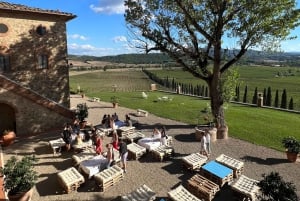 De Florença: passeio de meio dia pelos vinhos de Chianti