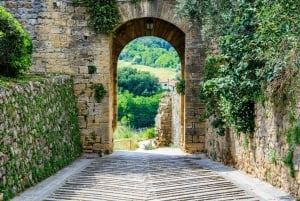 De Florença: passeio de meio dia pelos vinhos de Chianti