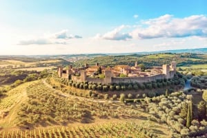 De Florença: passeio de meio dia pelos vinhos de Chianti