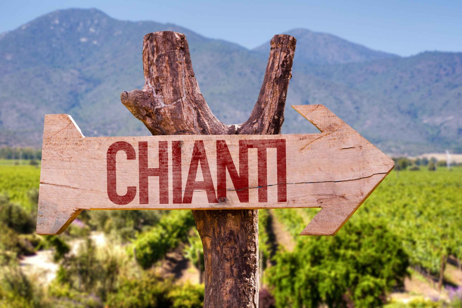 フィレンツェ発キャンティヒルズ半日ツアーとワインテイスティング