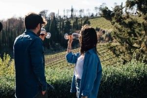 Depuis Florence : Visite d'une demi-journée des collines du Chianti avec dégustation de vins