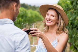 Da Firenze: Tour di mezza giornata sulle colline del Chianti con degustazione di vini