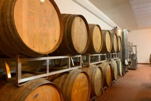 Depuis Florence : Visite d'une demi-journée des collines du Chianti avec dégustation de vins