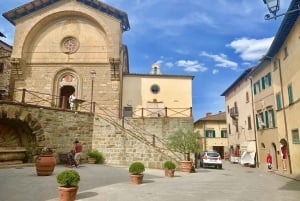 Da Firenze: Tour di mezza giornata sulle colline del Chianti con degustazione di vini