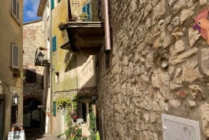 Da Firenze: Tour di mezza giornata sulle colline del Chianti con degustazione di vini