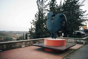 Da Firenze: Tour di mezza giornata sulle colline del Chianti con degustazione di vini