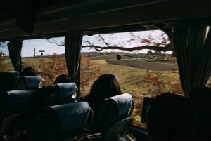 Da Firenze: Tour di mezza giornata sulle colline del Chianti con degustazione di vini