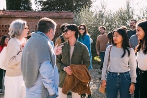 Da Firenze: Tour di mezza giornata sulle colline del Chianti con degustazione di vini