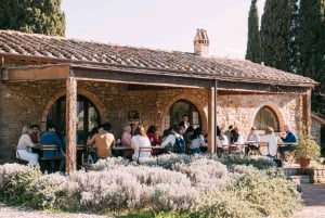 Fra Firenze: Halvdagstur med vinsmaking i Chianti-åsene