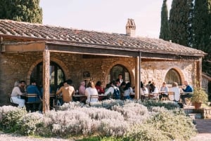 Depuis Florence : Visite d'une demi-journée des collines du Chianti avec dégustation de vins