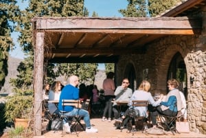 Depuis Florence : Visite d'une demi-journée des collines du Chianti avec dégustation de vins