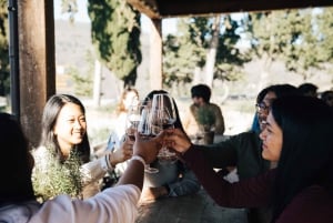 Depuis Florence : Visite d'une demi-journée des collines du Chianti avec dégustation de vins