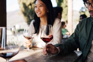 Da Firenze: Tour di mezza giornata sulle colline del Chianti con degustazione di vini