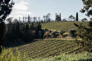 Firenzestä: Chianti Hills: Chianti Hills Half-Day Tour with Wine Tasting (puolipäiväretki viininmaisteluineen)