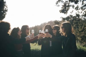 Von Florenz aus: Chianti-Hügel Halbtagestour mit Weinverkostung