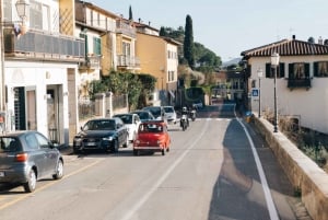 Da Firenze: Tour di mezza giornata sulle colline del Chianti con degustazione di vini