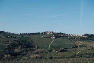 Z Florencji: Półdniowa wycieczka po wzgórzach Chianti z degustacją wina
