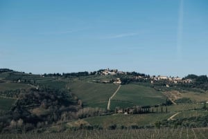 Fra Firenze: Halvdagstur med vinsmaking i Chianti-åsene