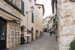 De Florença: Excursão de meio dia às colinas de Chianti com degustação de vinhos