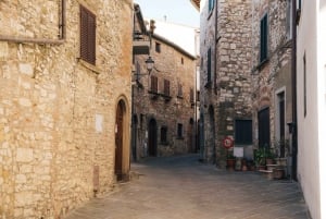 Från Florens: Chianti Hills halvdagstur med vinprovning