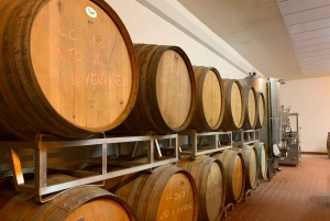 フィレンツェ発キャンティヒルズ半日ツアーとワインテイスティング