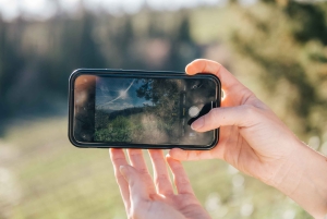 フィレンツェ発キャンティヒルズ半日ツアーとワインテイスティング