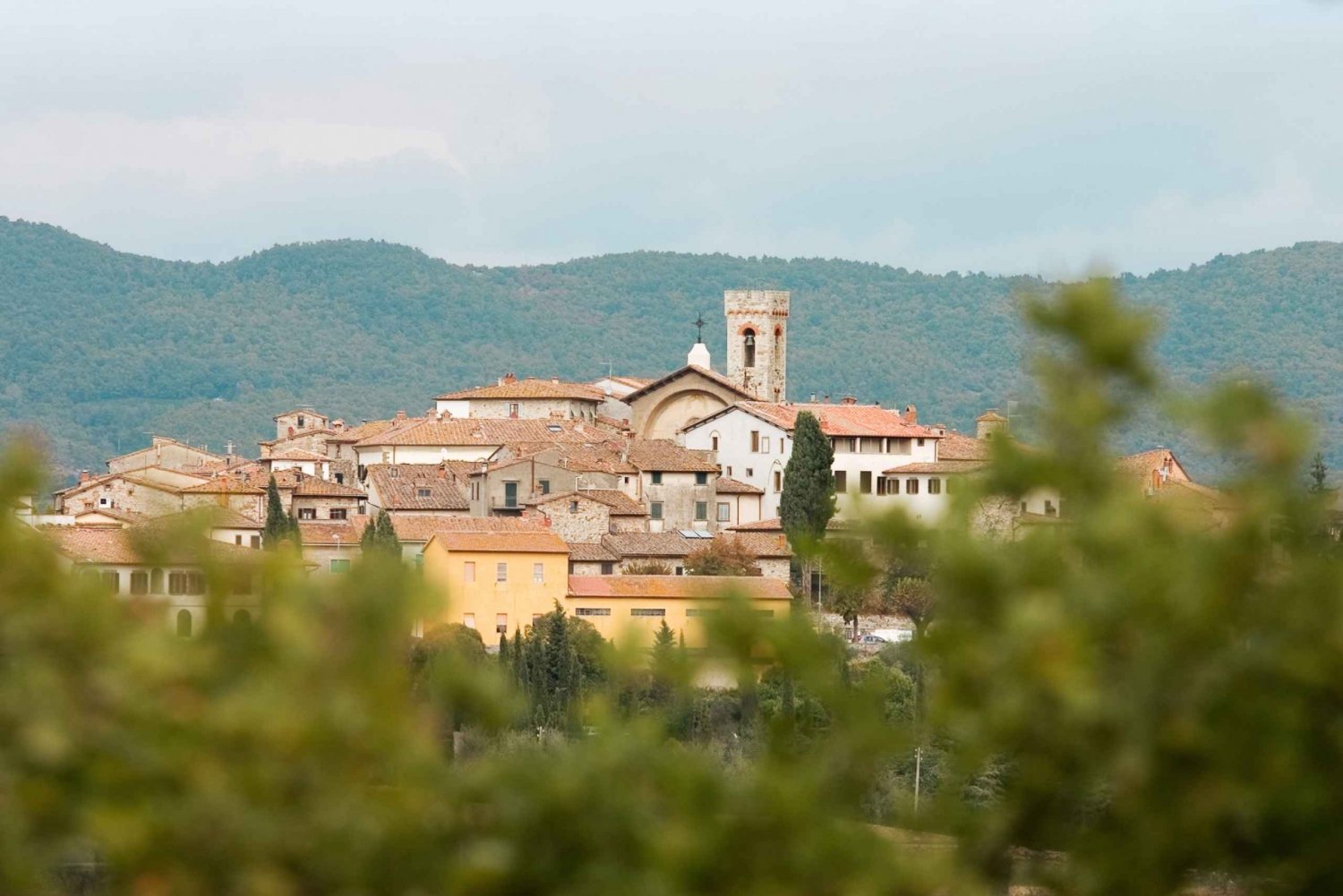 Da Firenze: Tour delle cantine delle colline del Chianti con degustazione