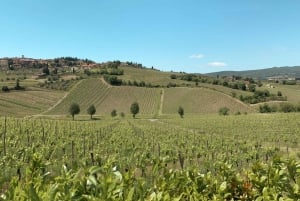 Från Florens: Chianti Hills vingårdstur med provsmakning