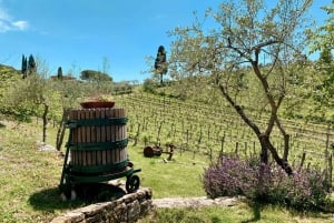 De Florença: Visita às vinícolas de Chianti Hills com degustação