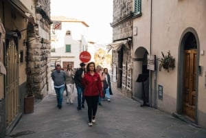 Da Firenze: Tour delle cantine delle colline del Chianti con degustazione