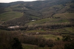Von Florenz aus: Tour durch die Chianti-Hügel mit Weinverkostung