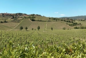 From Florence: Chianti Hills Wineries Tour with Tasting