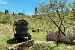 From Florence: Chianti Hills Wineries Tour with Tasting