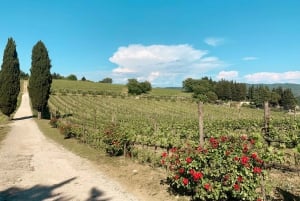 From Florence: Chianti Hills Wineries Tour with Tasting