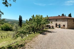 From Florence: Chianti Hills Wineries Tour with Tasting