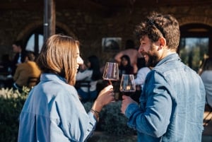 From Florence: Chianti Hills Wineries Tour with Tasting