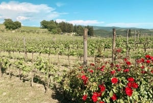 From Florence: Chianti Hills Wineries Tour with Tasting
