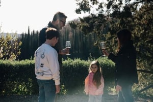 From Florence: Chianti Hills Wineries Tour with Tasting