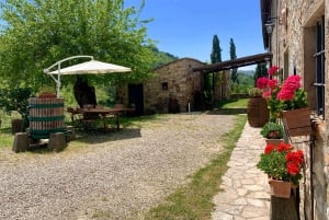 From Florence: Chianti Hills Wineries Tour with Tasting