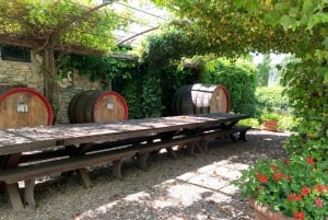 From Florence: Chianti Hills Wineries Tour with Tasting
