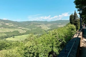 From Florence: Chianti Hills Wineries Tour with Tasting