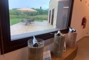 From Florence: Chianti Hills Wineries Tour with Tasting