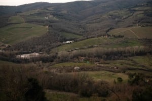 From Florence: Chianti Hills Wineries Tour with Tasting