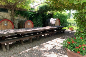 From Florence: Chianti Hills Wineries Tour with Tasting