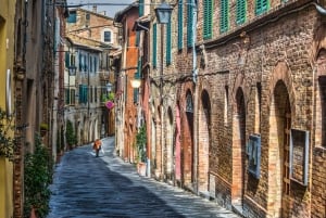 Från Florens: Chianti, Montalcino & Montepulciano - Minivan