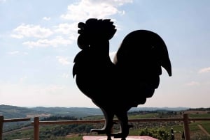 Fra Firenze: Vespa-tur i Chianti på egen hånd med lunsj