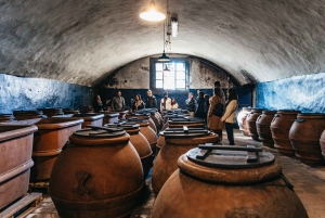Florence : Savourez les vins et les mets du Chianti lors d'un safari de dégustation