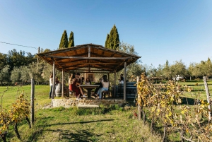 Florenz: Genieße Chianti-Wein und Essen auf einer Verkostungssafari