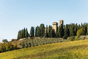 Firenze: Chianti-viiniä ja ruokaa maistelusafarilla.